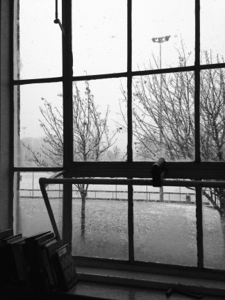 Snow. From my classroom window 